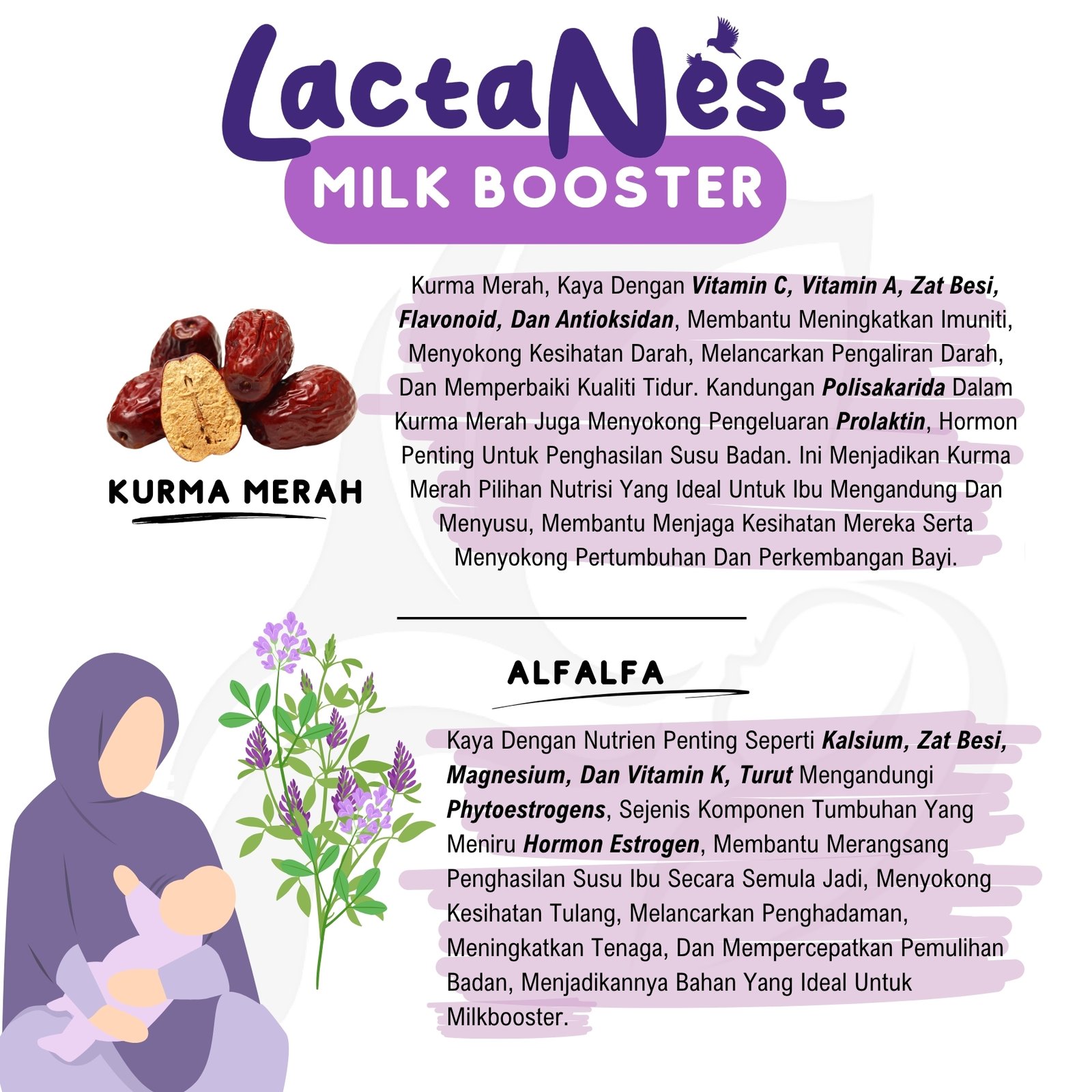 LactaNest™ MilkBooster – Travel Pack - Image 7